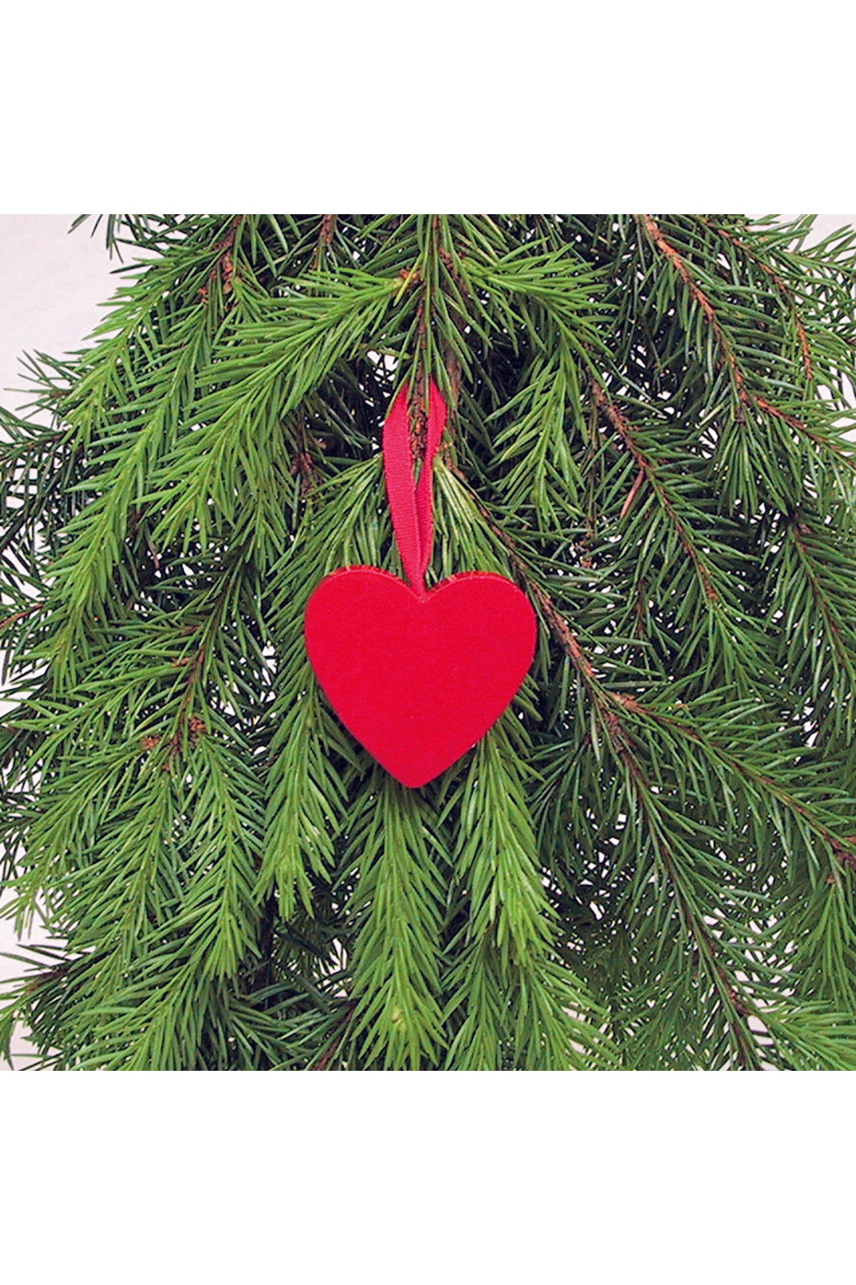 Wooden heart pendant | red