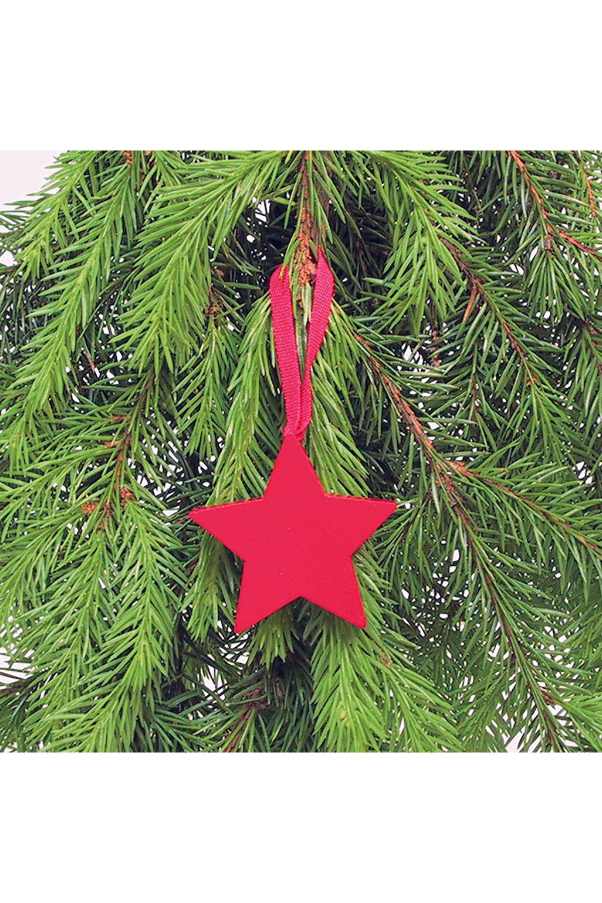 Wooden star pendant | red