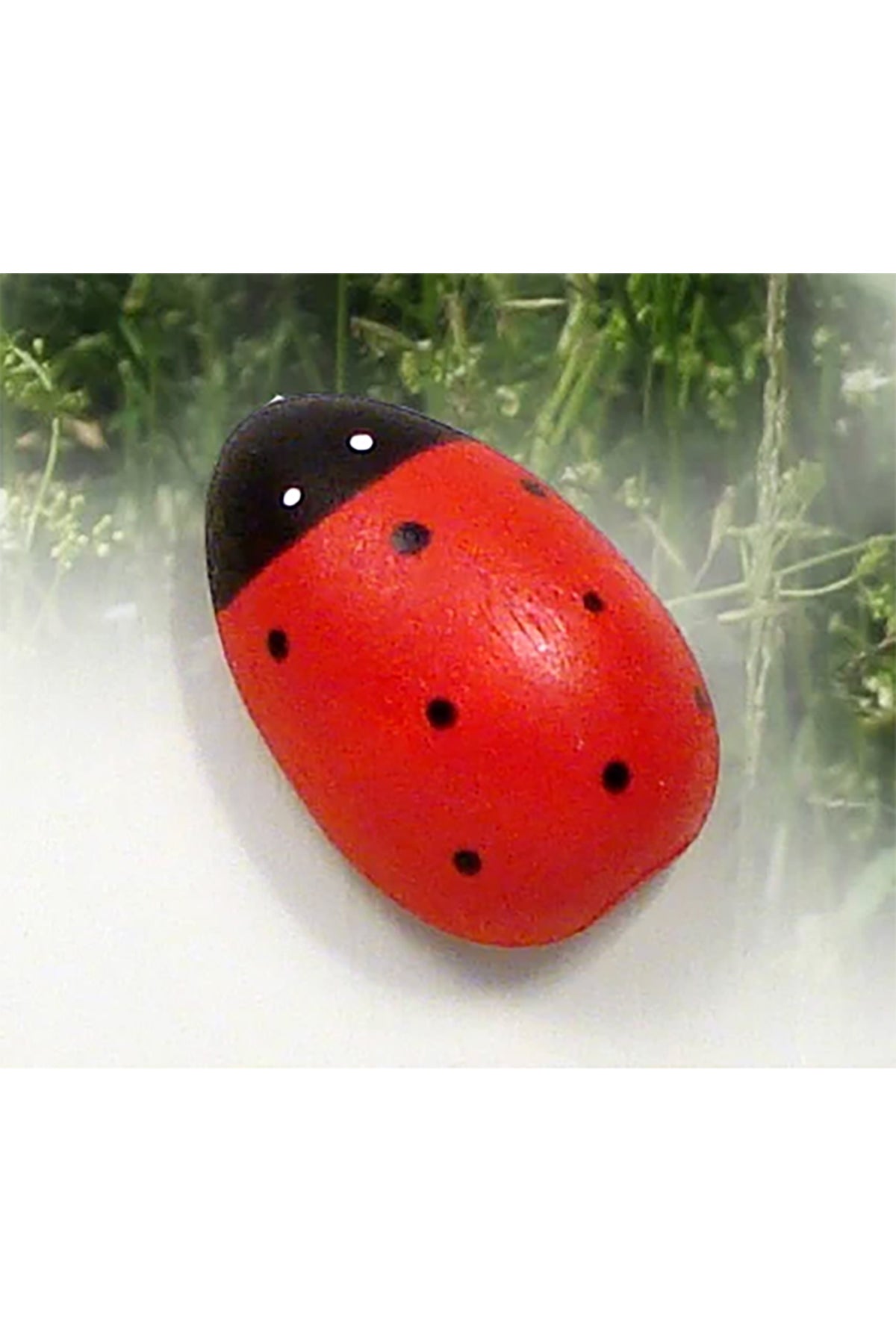 Magnet hand painted ladybug | 37 mm