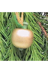 Wooden pendant apple | natural