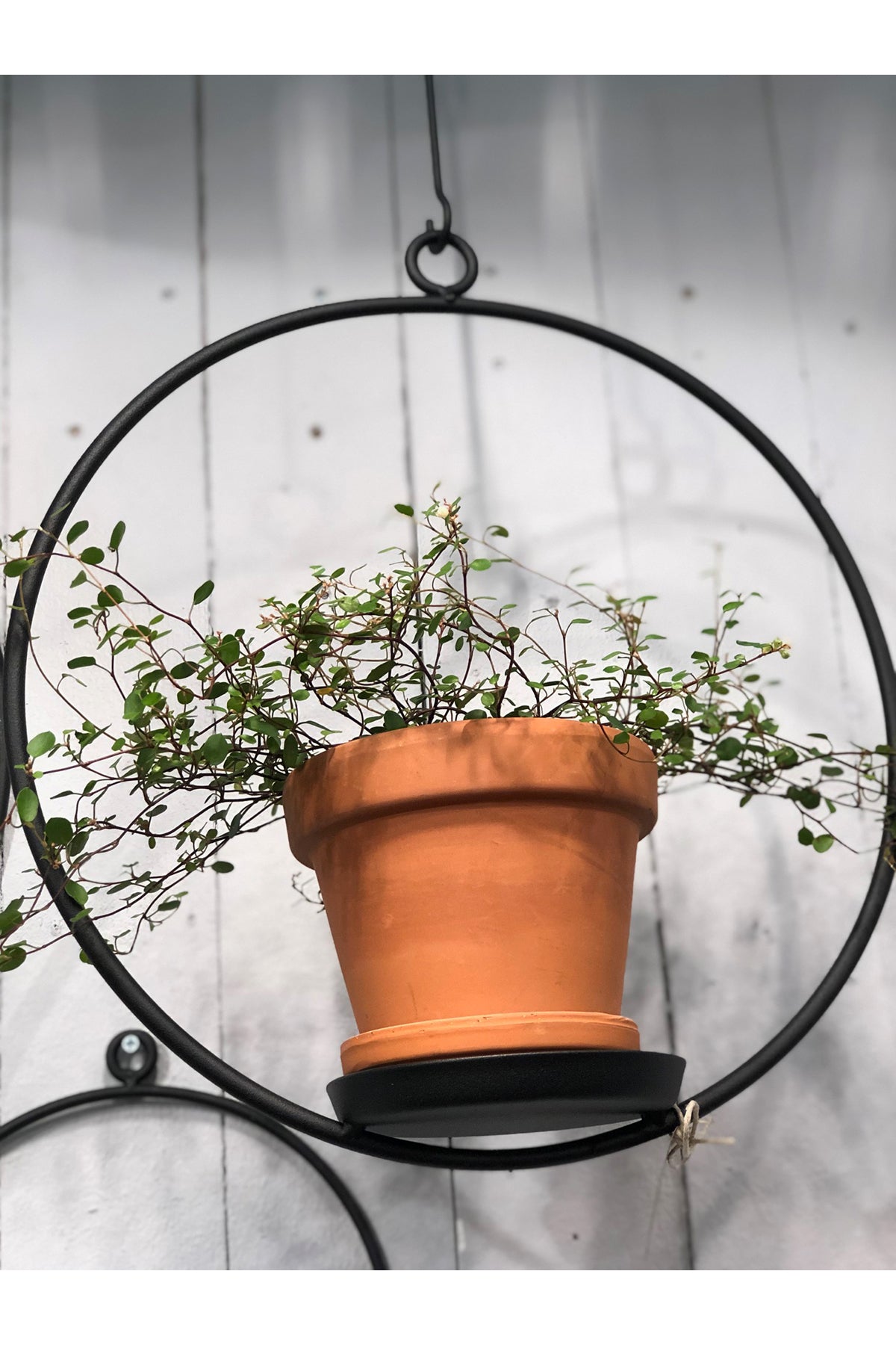 Kerzenhalter für Blumentopf / Blockkerze | weiß oder schwarz